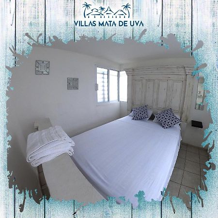 Villas Mata De Uva Heroica Heroica Alvarado Zewnętrze zdjęcie